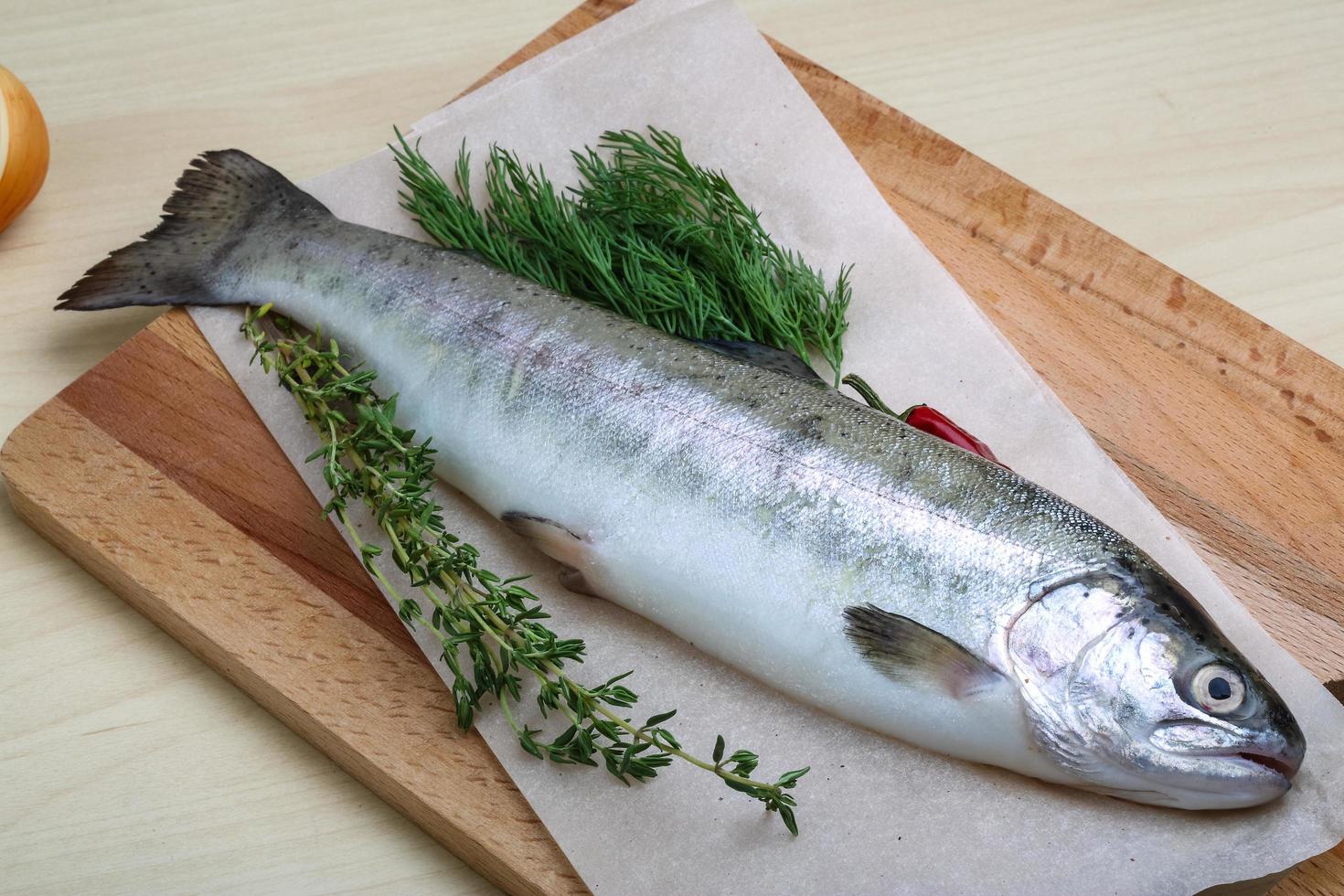 Raw trout dish photo