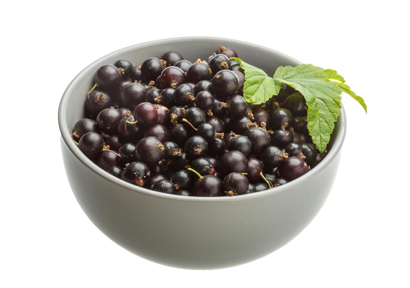 Black currant on white photo