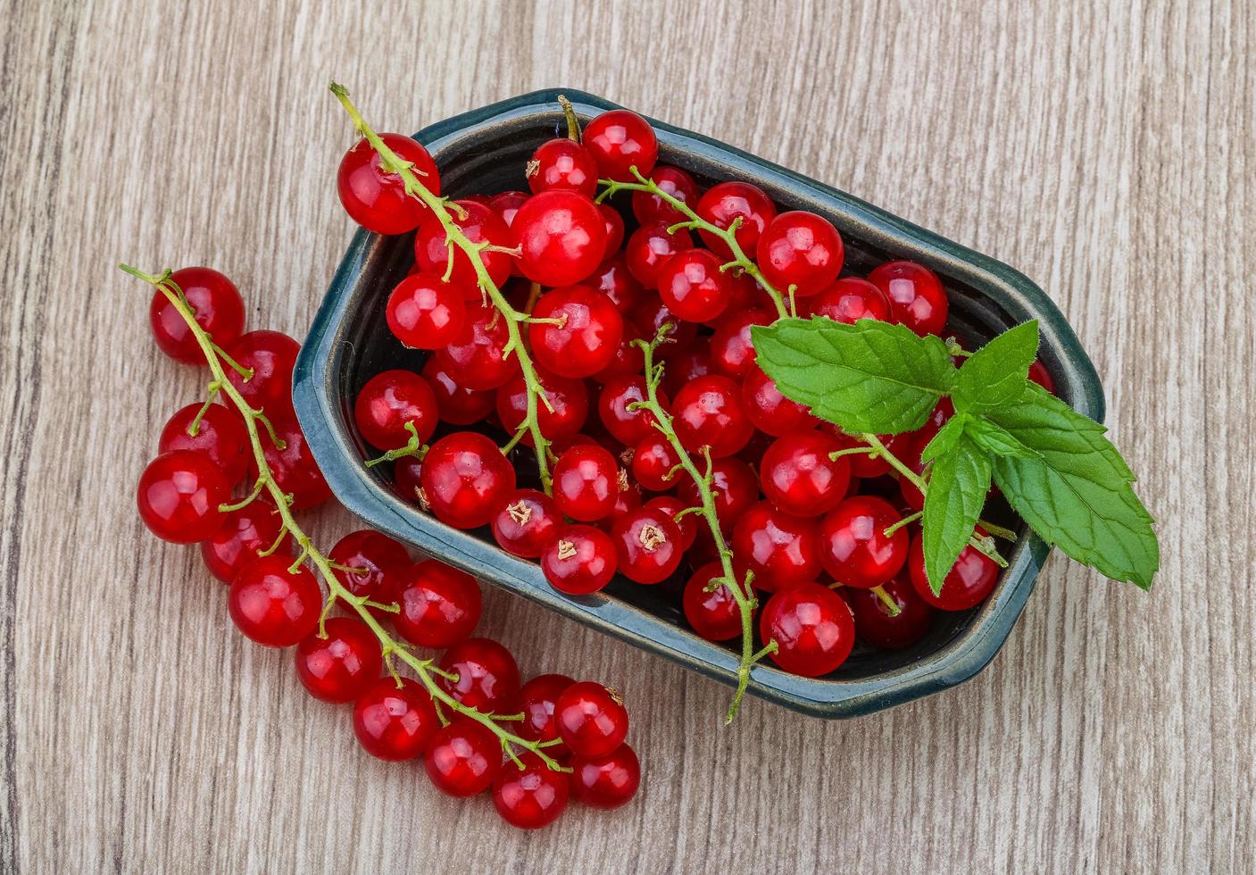 Red currants view photo