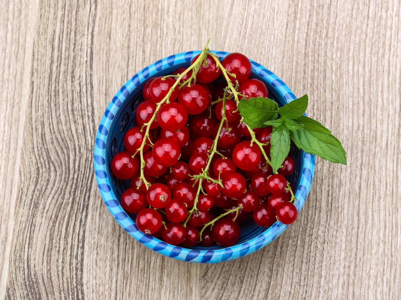 Red currants dish view photo