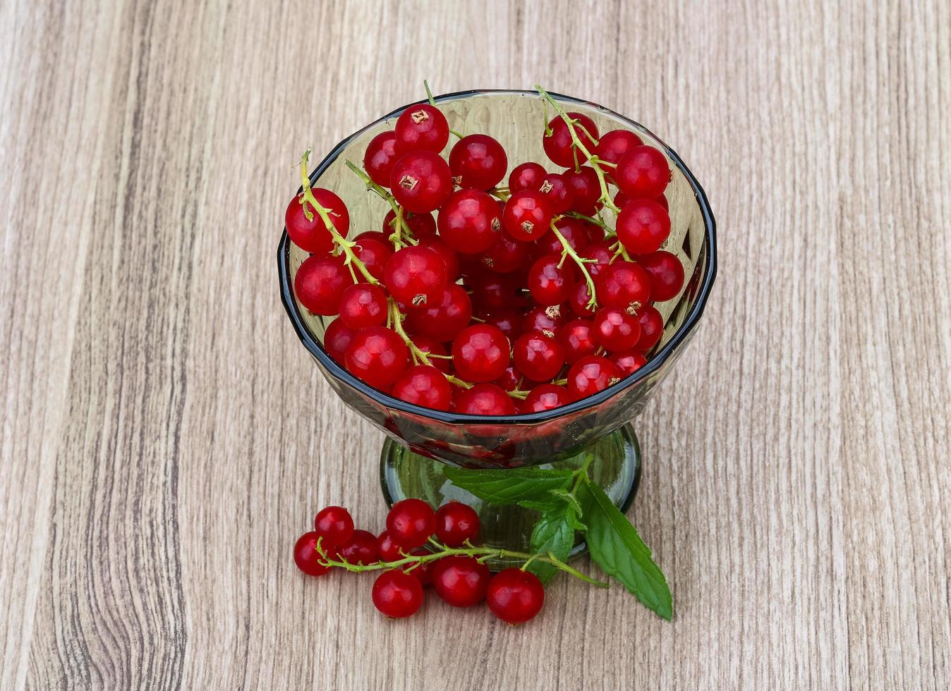 Red currant dish view photo