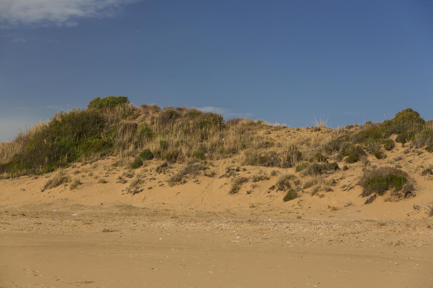 Desert dunes view photo