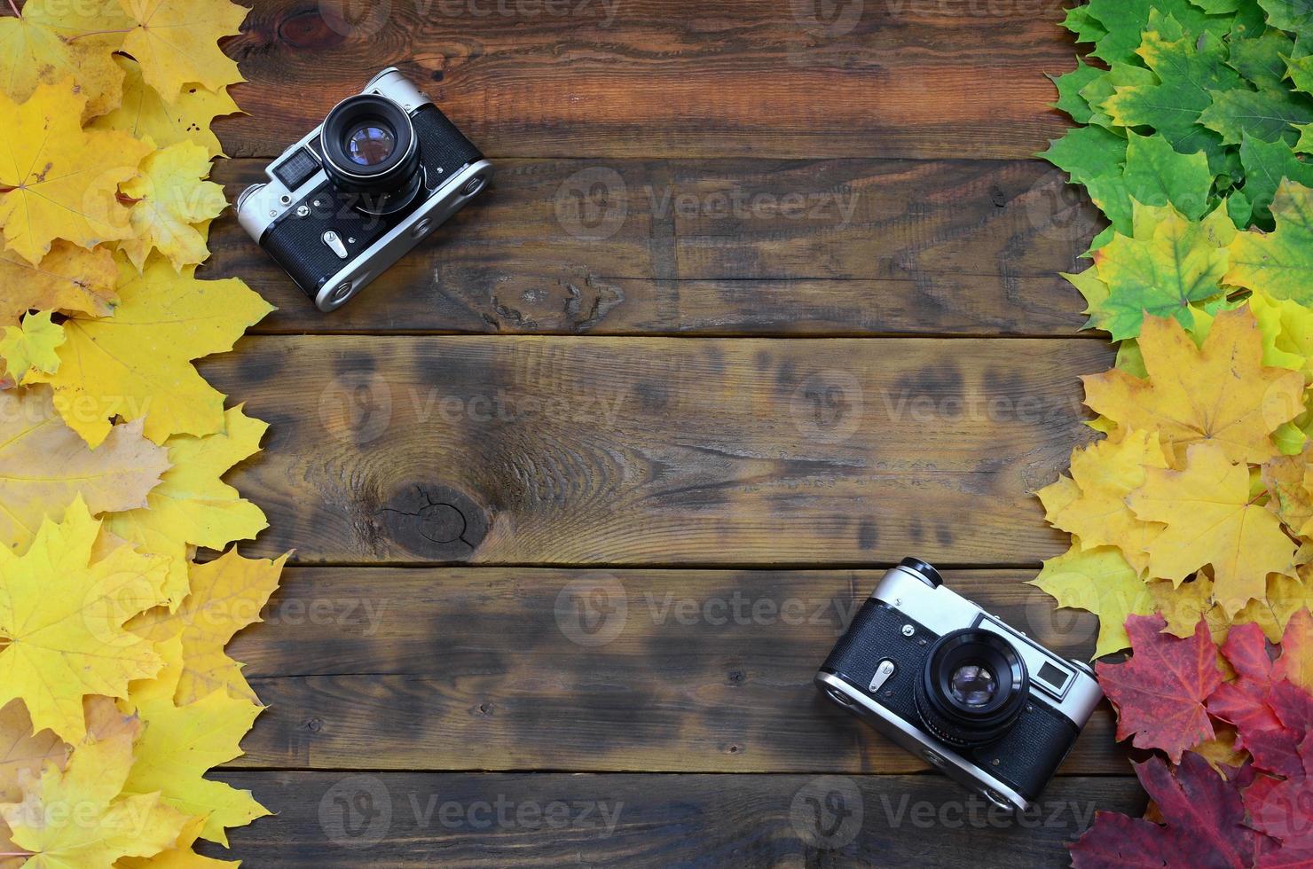 Two old cameras among a set of yellowing fallen autumn leaves on a background surface of natural wooden boards of dark brown color photo