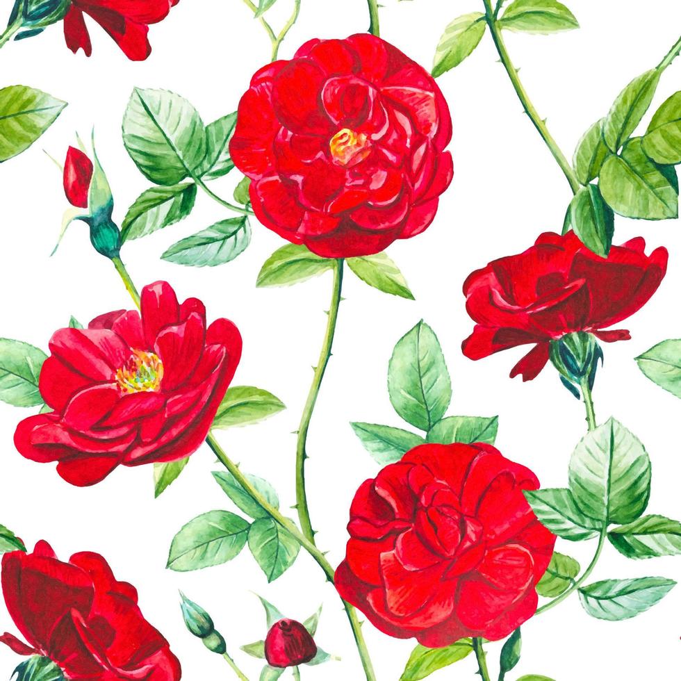 Seamless floral pattern with watercolor red roses vector