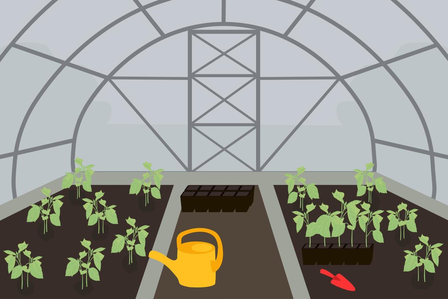 The process of planting seedlings in a greenhouse. Seedlings in the greenhouse. Vector drawing of a greenhouse with seedlings.