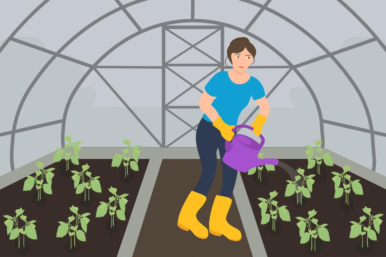 A girl is watering seedlings in a greenhouse. Seedlings in the greenhouse. Vector drawing of a greenhouse with seedlings.