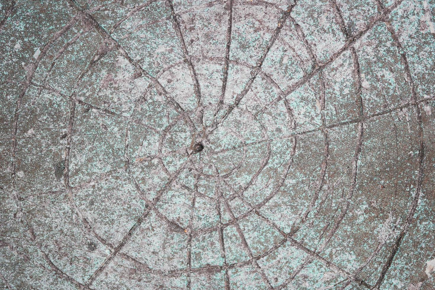 close up of natural green moss on oak texture. photo