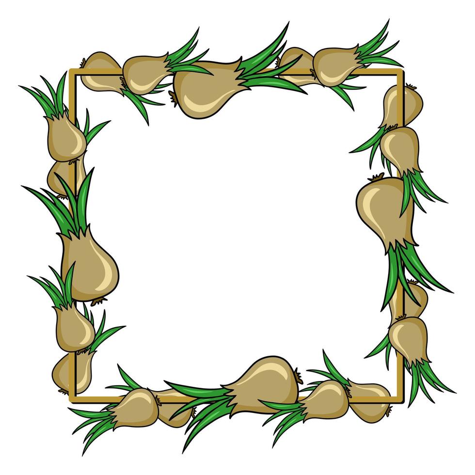 Square frame, ripe vegetables, golden onions, copy space, vector illustration in cartoon style on a white background