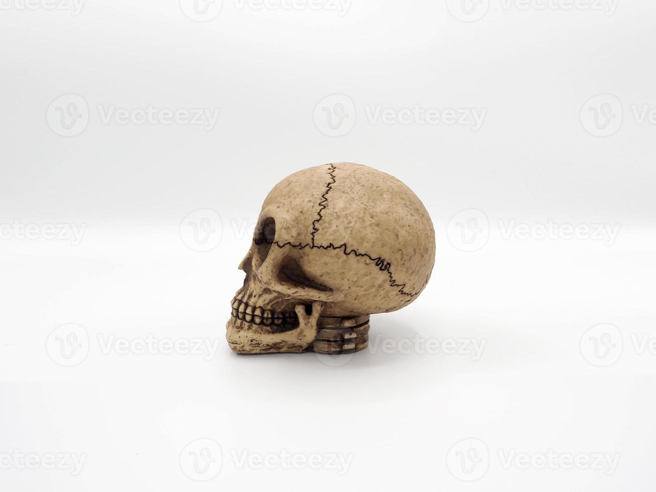 Alien skull toy model which made from plastic racin by hand photo