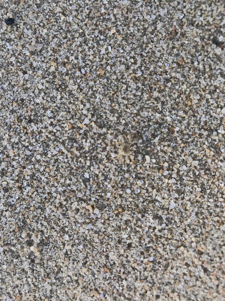 This is a picture of a background of sand on the beach that has just been washed away by the waves photo