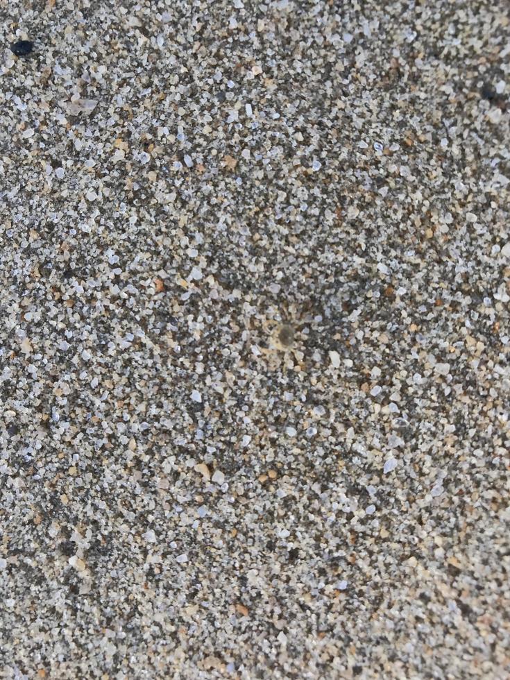 This is a picture of a background of sand on the beach that has just been washed away by the waves photo