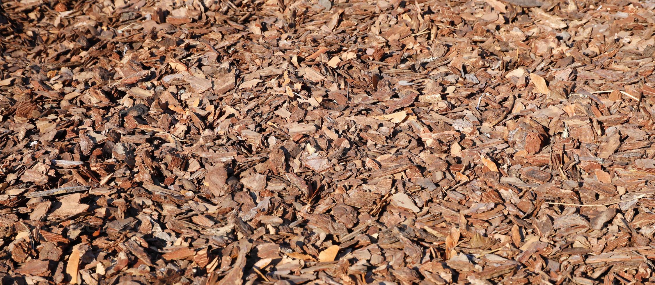 Full frame closeup of brown mulch used for gardening and landscape decoration. Texture of Birch mulch bark for garden. Closeup of wood chip path covering photo