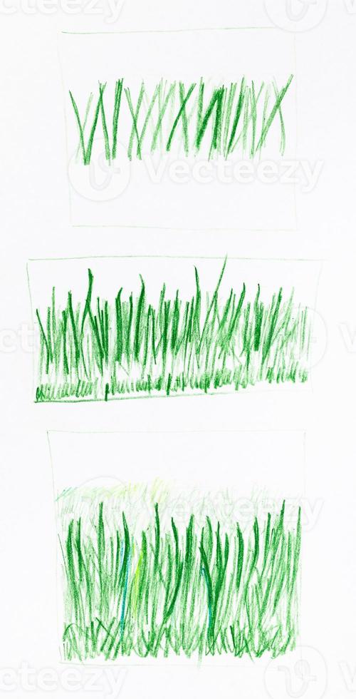 successive training sketches of green grass photo