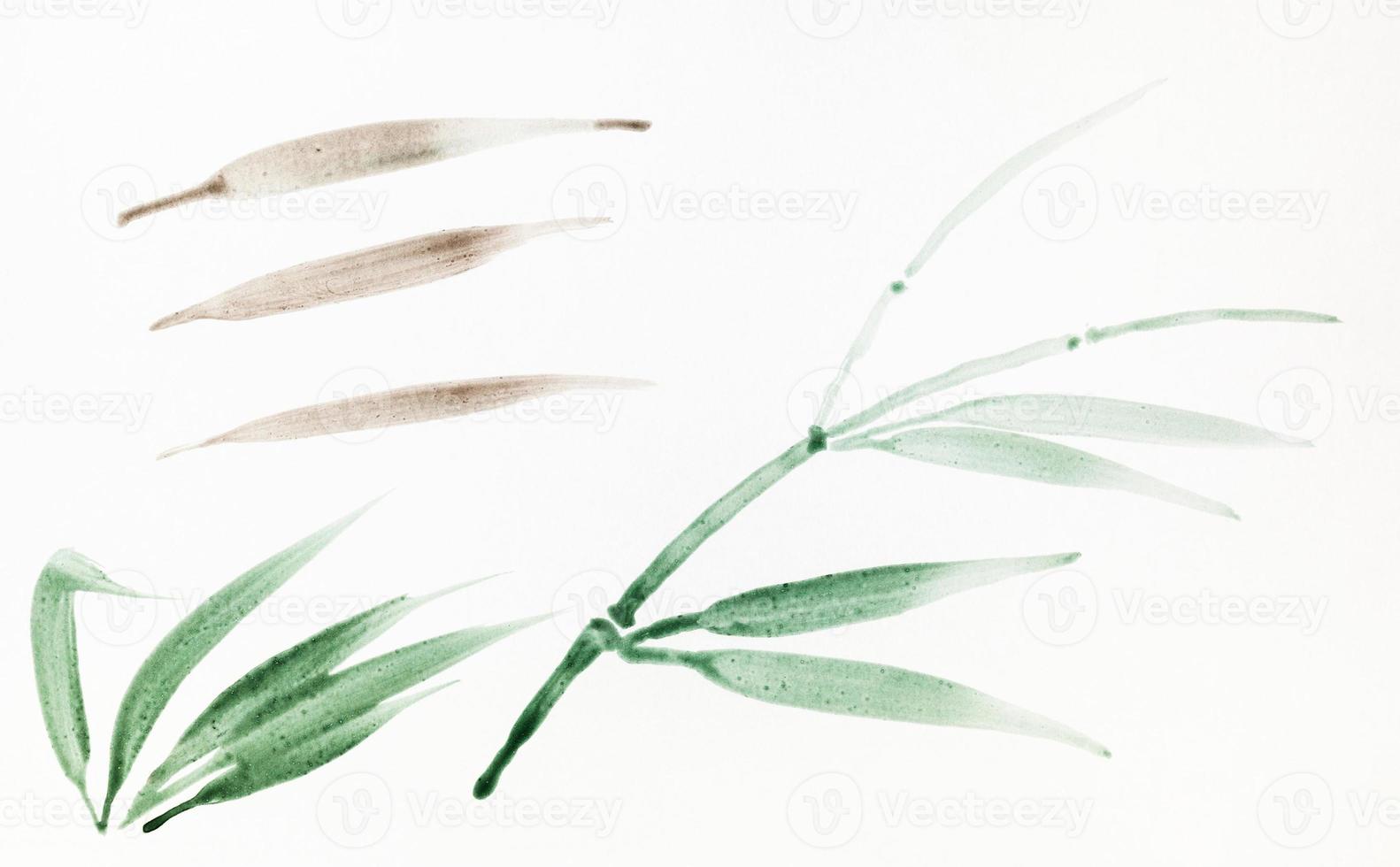 sketch of leaves of reed drawn in sumi-e style photo