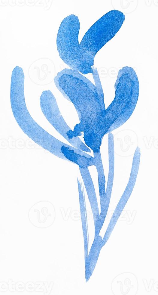 blue sketch of orchid flower photo