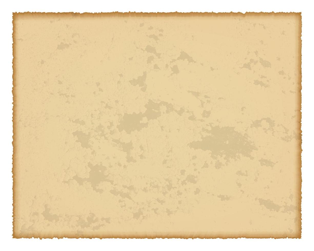 Old paper with burnt edges vector