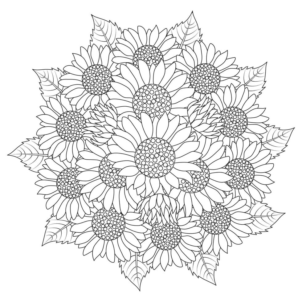 sunflower vector outline coloring page of blooming petal and leaves flower illustration