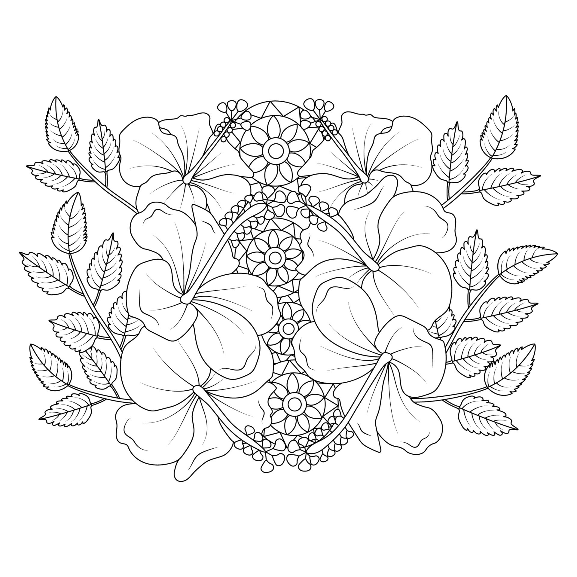 hibiscus flowers coloring page illustration with hawaiian hibiscus