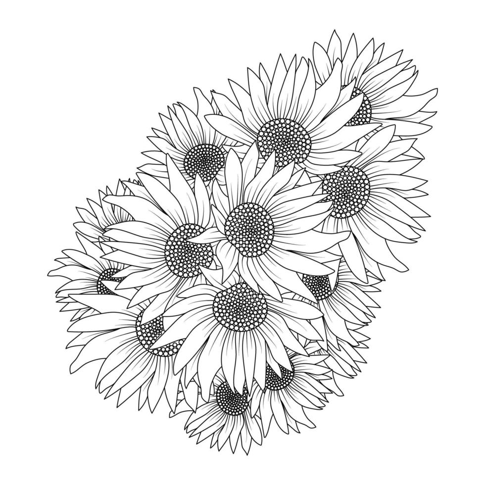 sunflower vector outline coloring page of blooming petal and leaves flower illustration