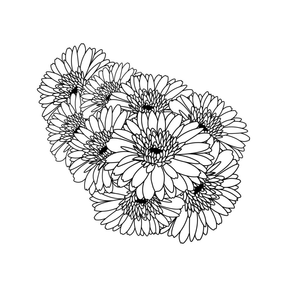 beautiful flowers of gerbera daisy coloring page drawing detailed in vector graphic of line art