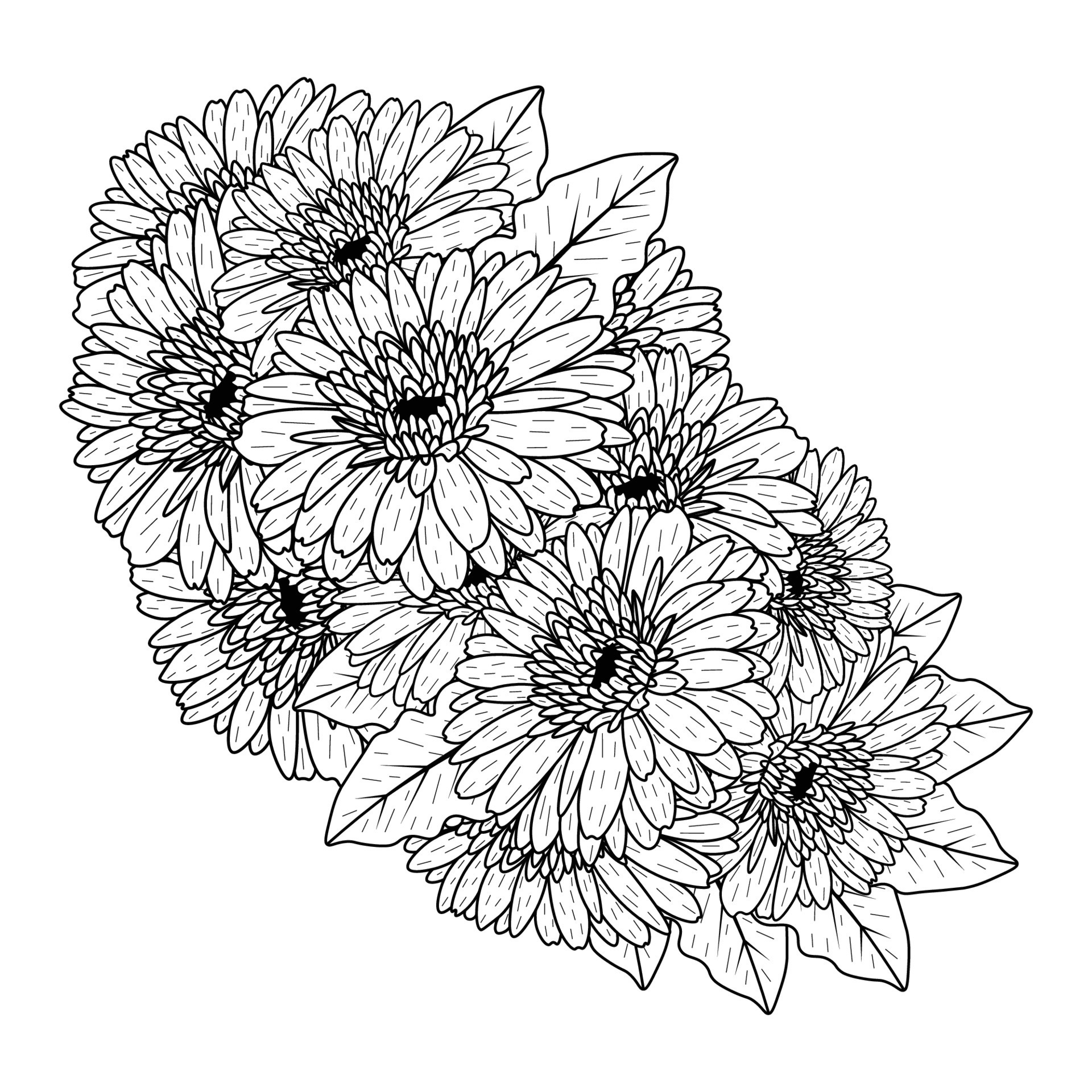 beautiful flowers of gerbera daisy coloring page drawing detailed in vector graphic of line art