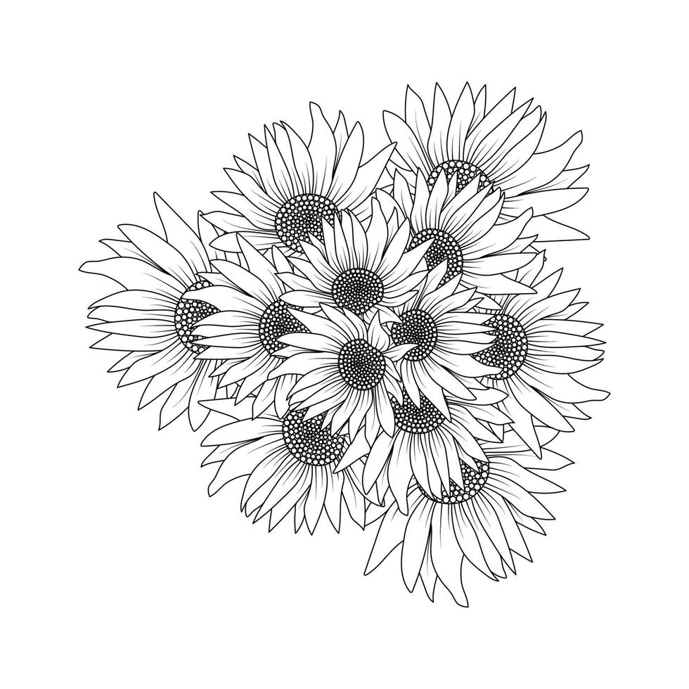 sunflower vector outline coloring page of blooming petal and leaves flower illustration