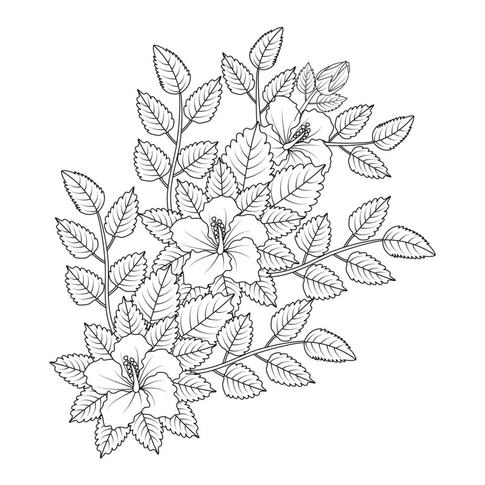 hibiscus flowers coloring page illustration with hawaiian hibiscus leaves and outline rose of sharon vector
