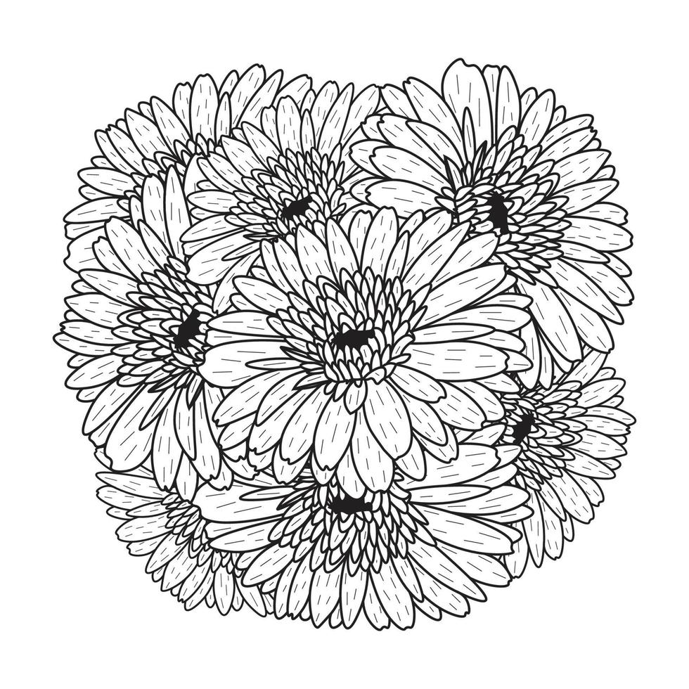 beautiful flowers of gerbera daisy coloring page drawing detailed in vector graphic of line art