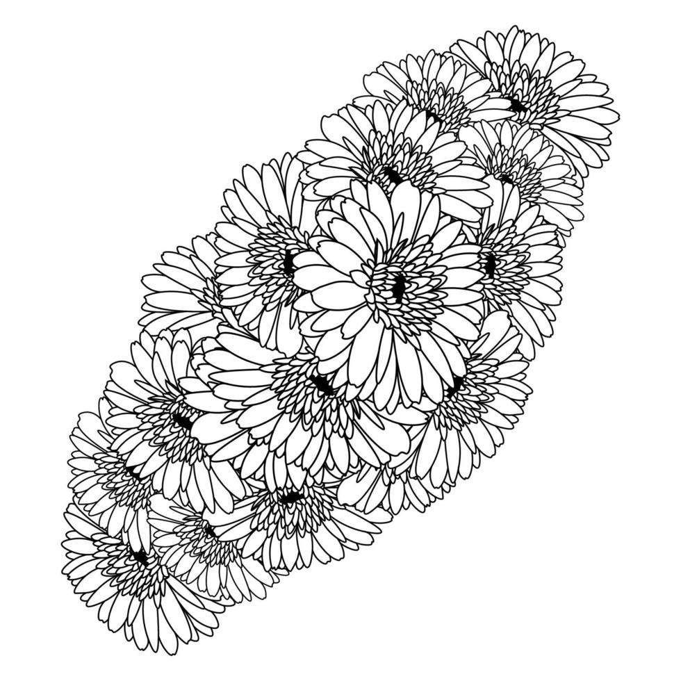 beautiful flowers of gerbera daisy coloring page drawing detailed in vector graphic of line art