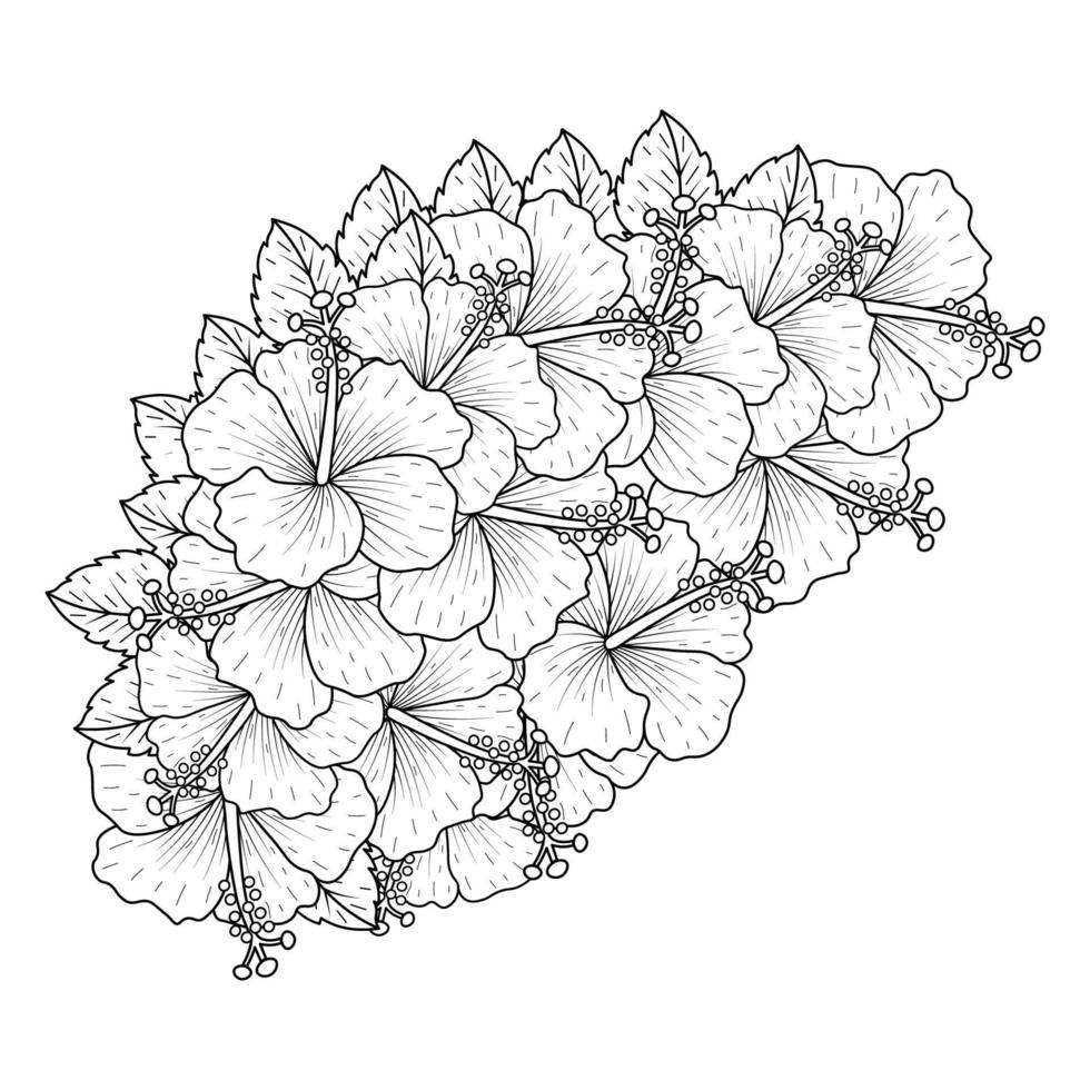 Dibujo de flor de hibisco común para colorear pétalo floreciente o flores de malva rosa vector