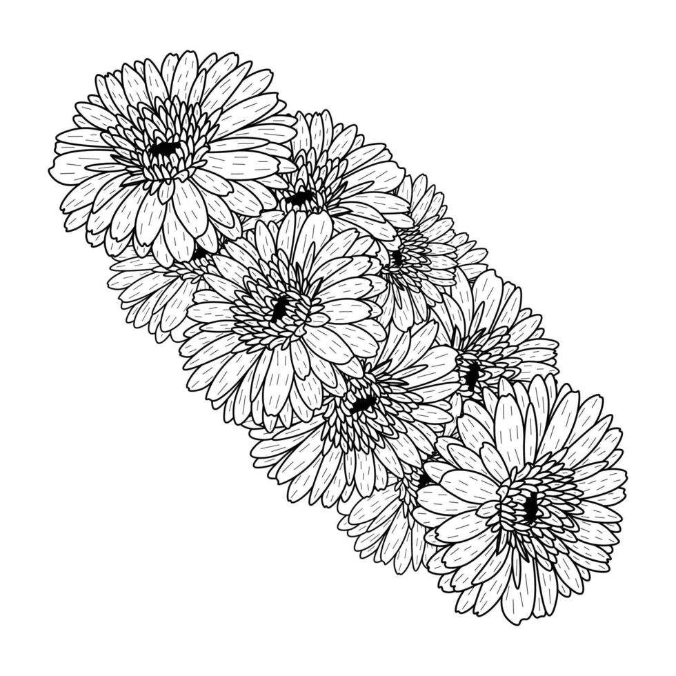 hermosas flores de gerbera daisy página para colorear dibujo detallado en gráfico vectorial de arte lineal vector