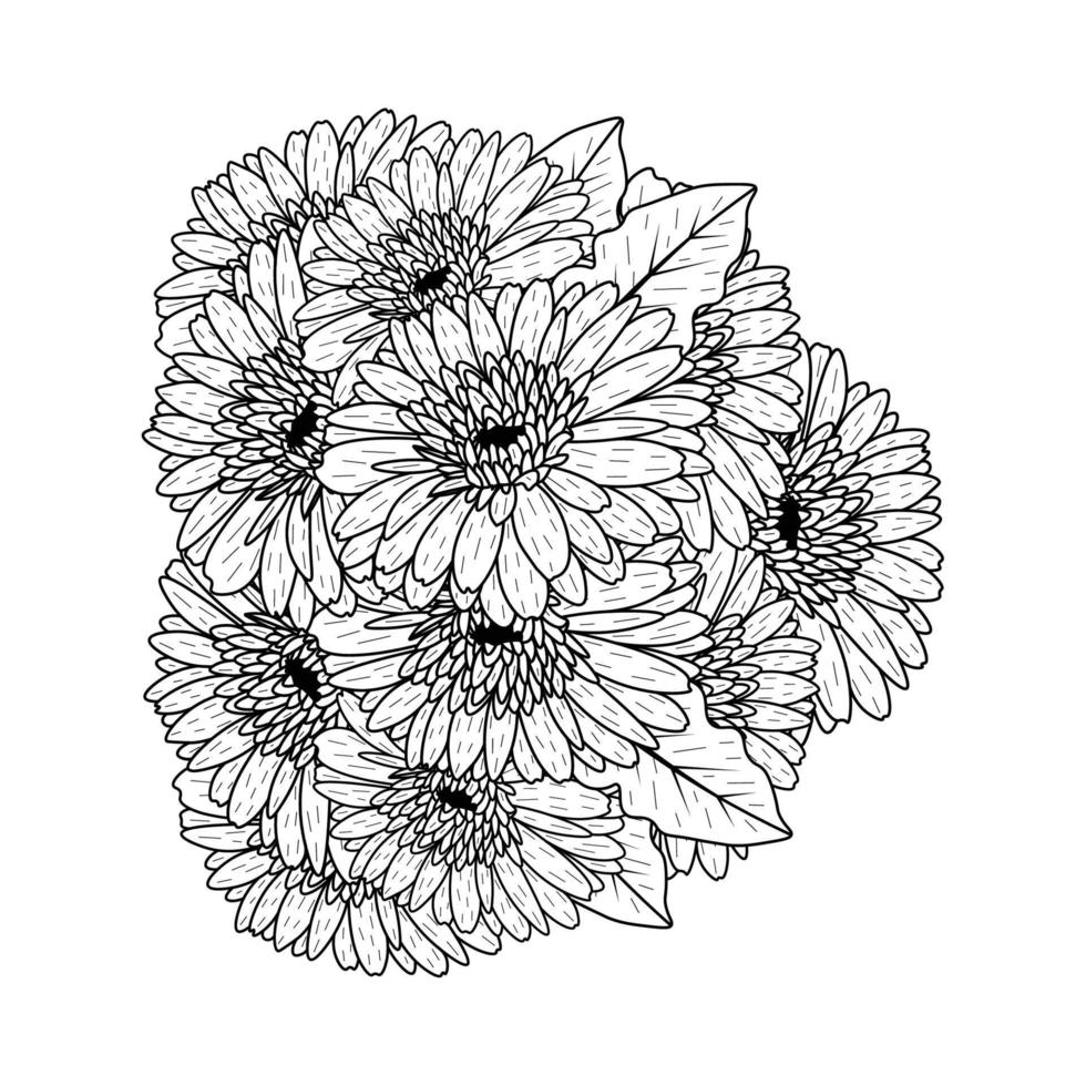 beautiful flowers of gerbera daisy coloring page drawing detailed in vector graphic of line art