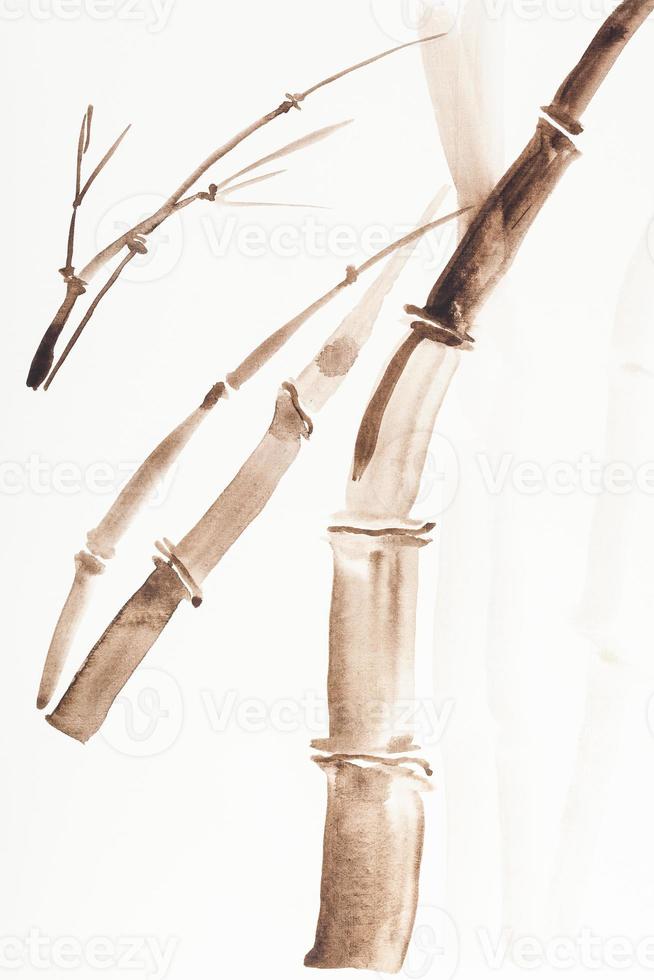 bamboo branched drawn by brown watercolors photo