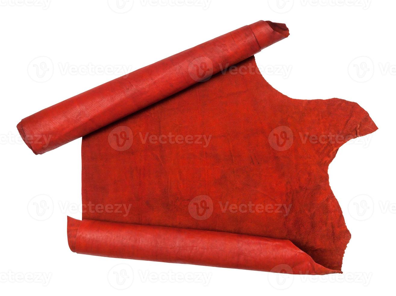 unrolled scroll from red hide isolated on white photo