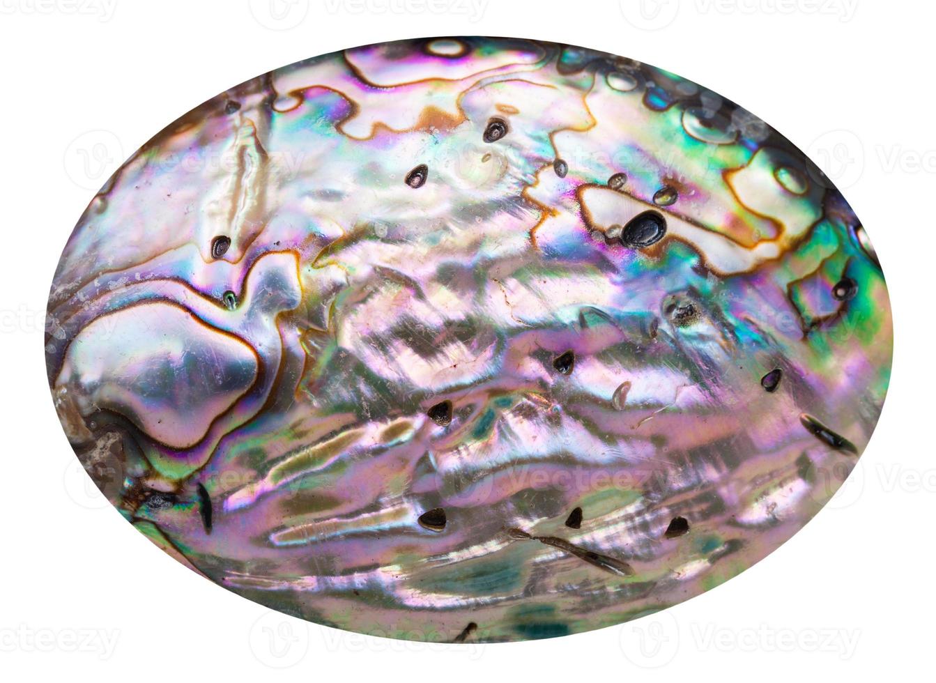 pink polished surface of nacre shell isolated photo