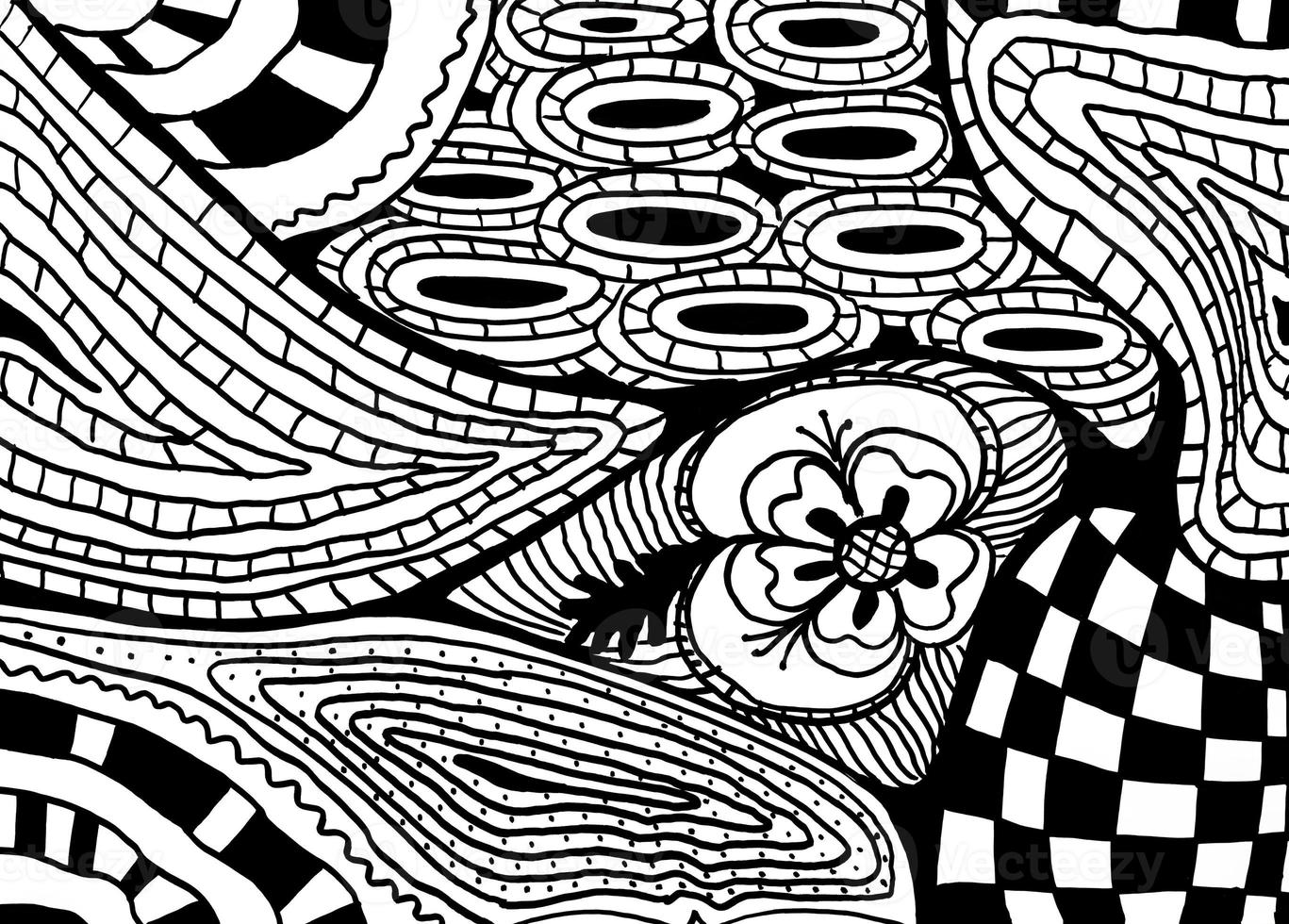 abstract black and white pattern with flower photo