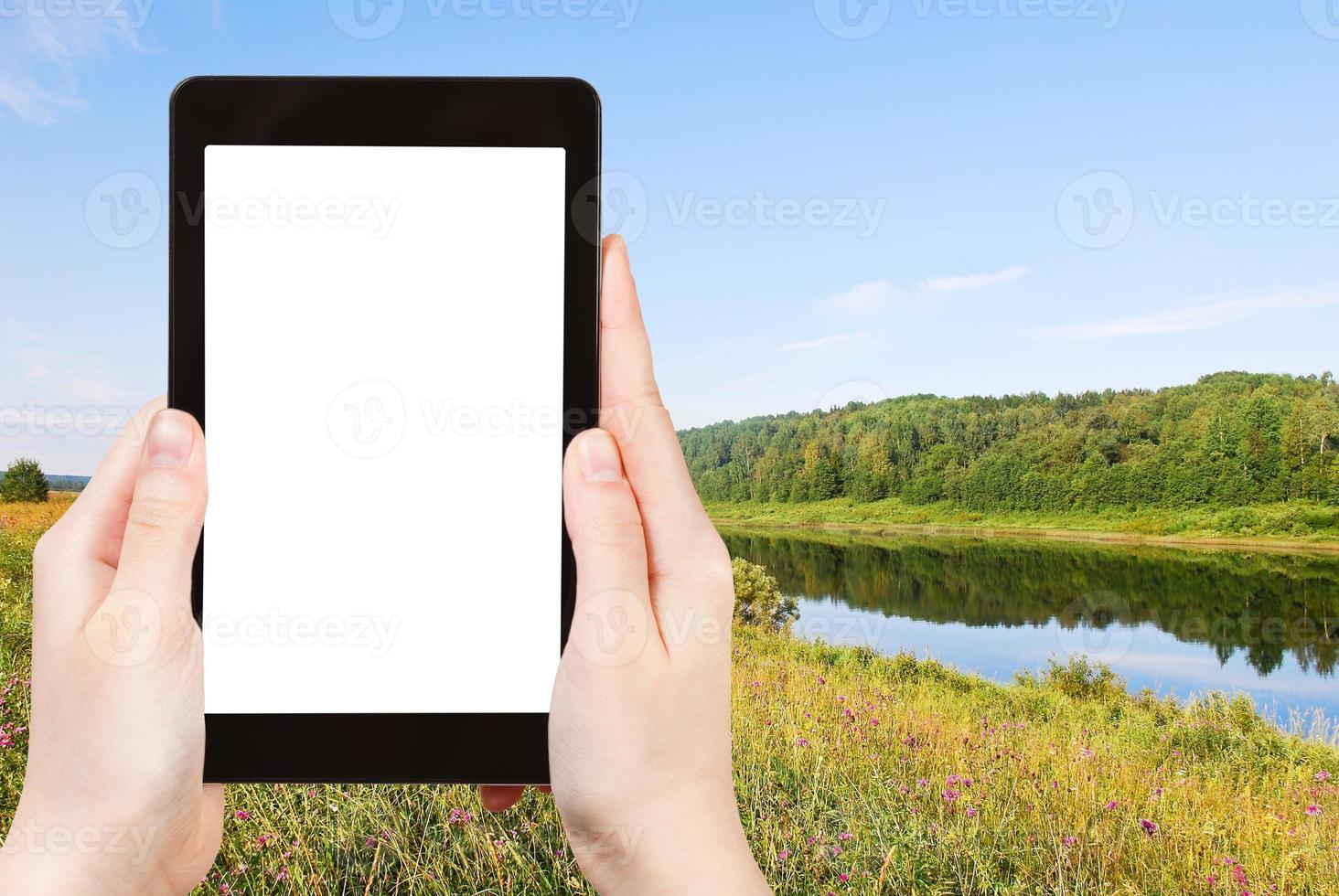 photo of green grass on riverbank in summer day