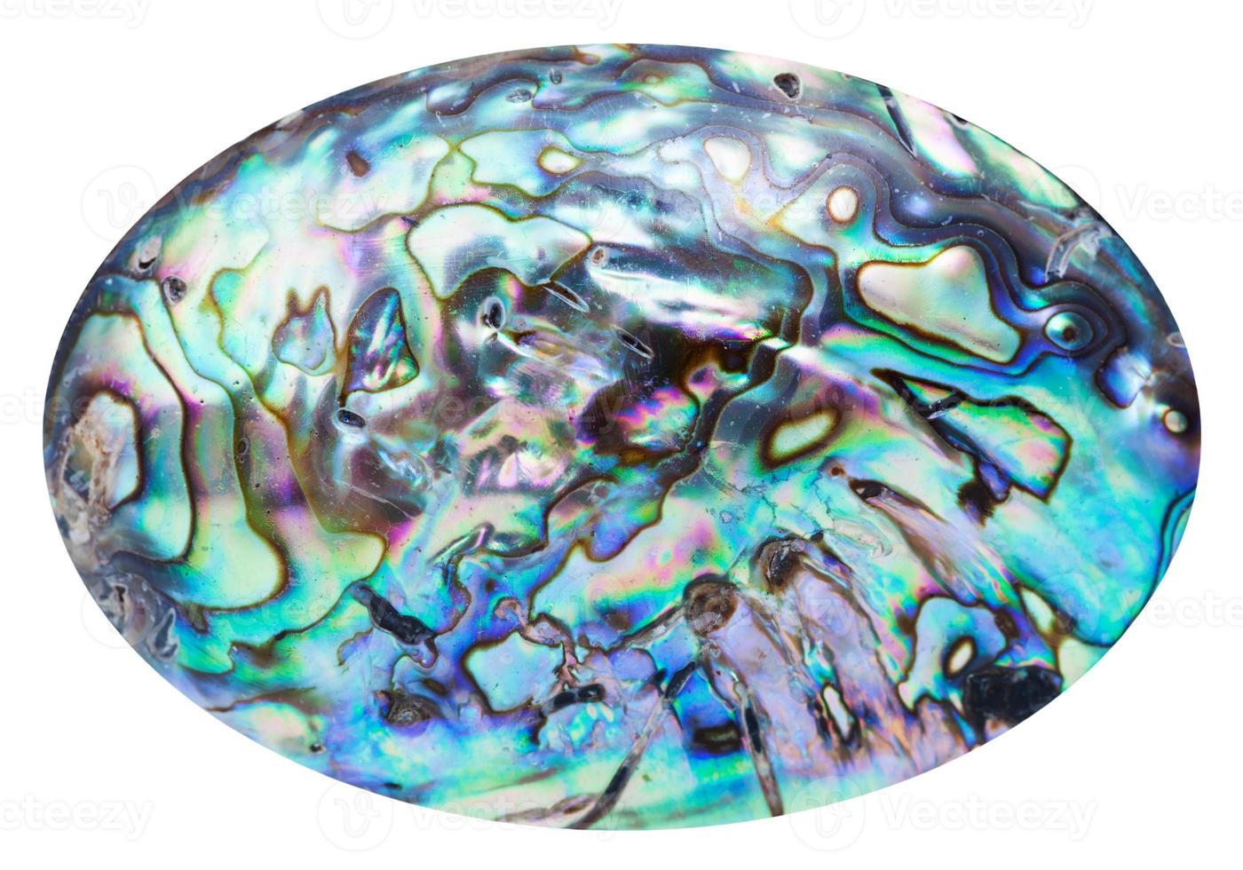 blue polished surface of nacre shell isolated photo