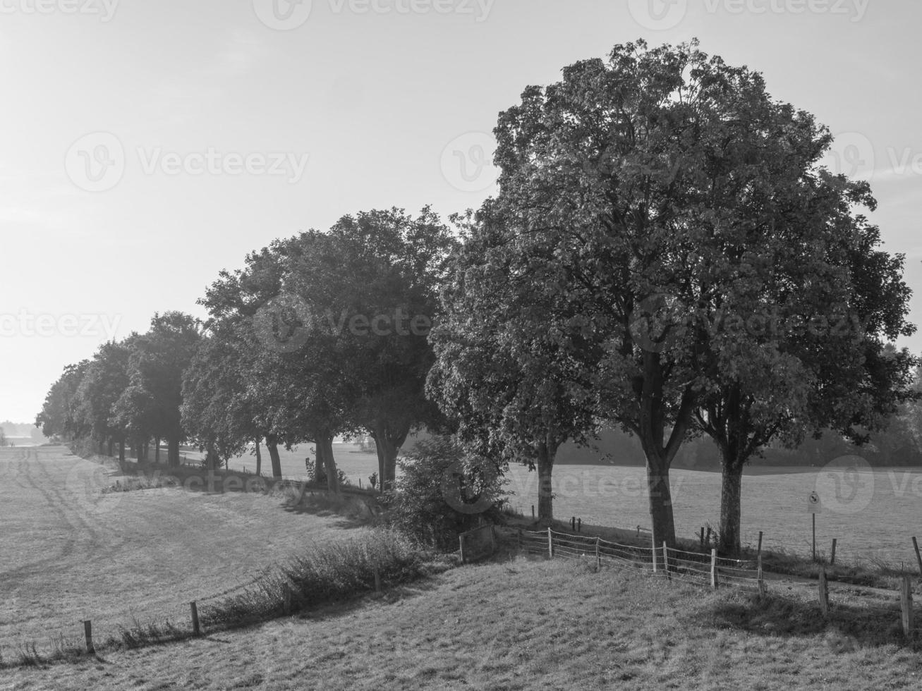 the small village of Grieth at the river rhine photo