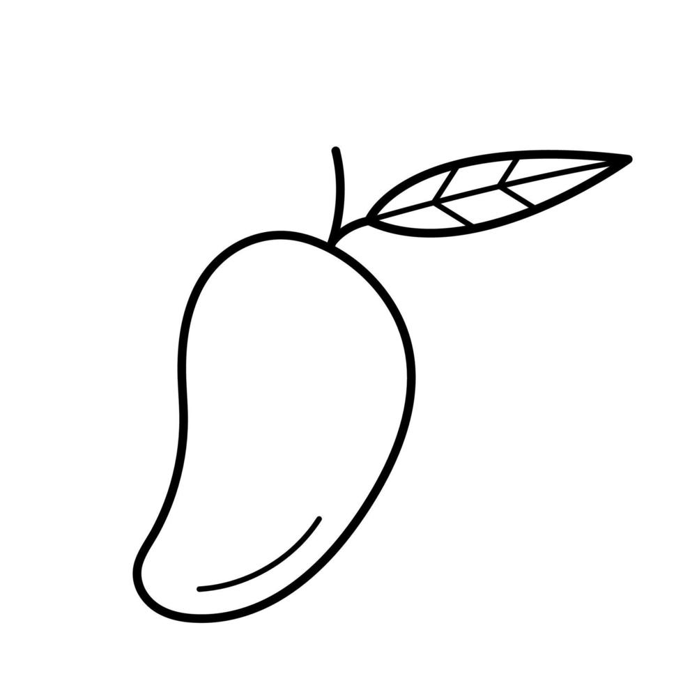 mango. icono de esbozo dibujado a mano de frutas tropicales. ilustración vectorial aislada en estilo de línea de fideos. vector