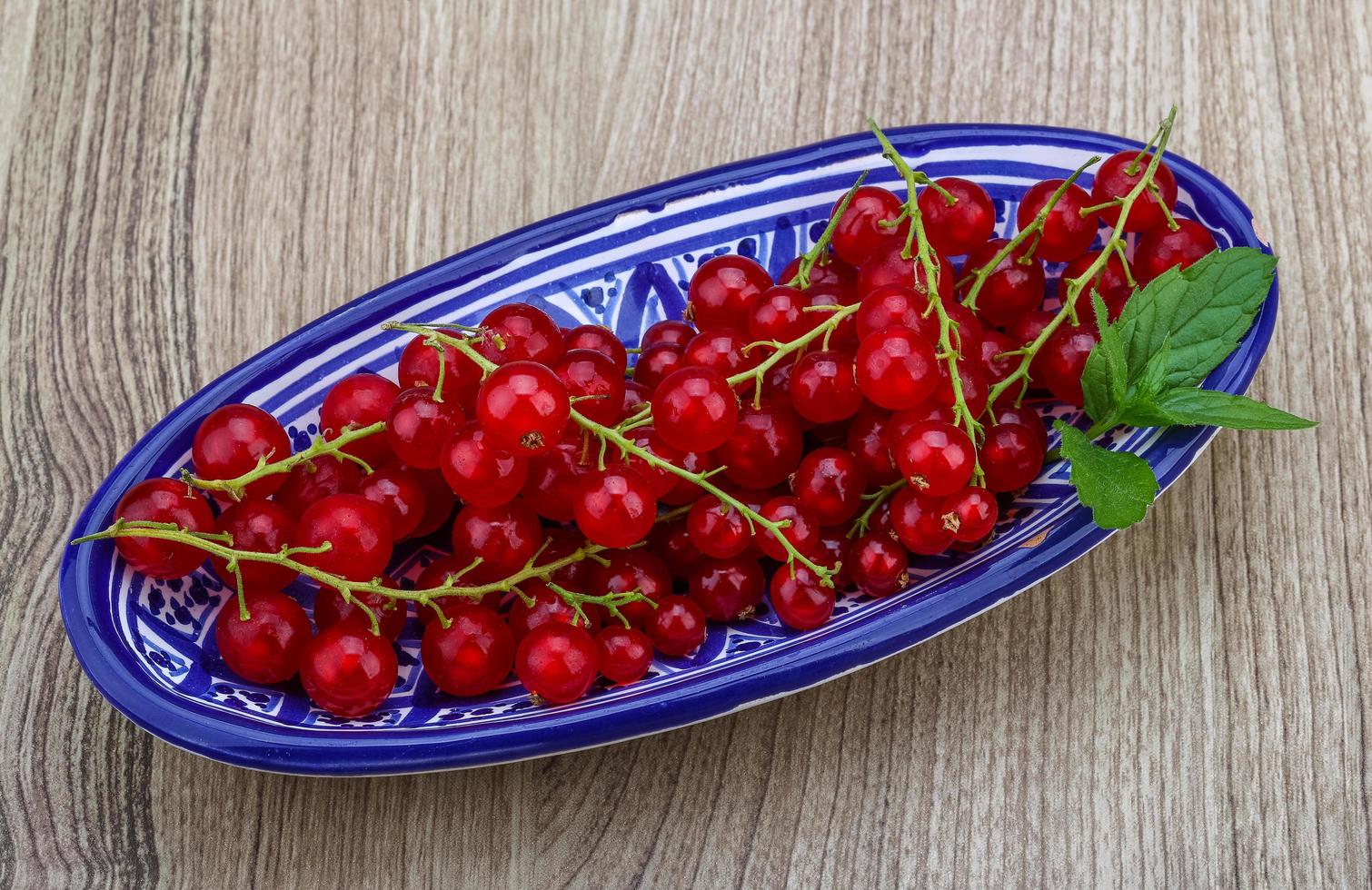 Red currants dish view photo