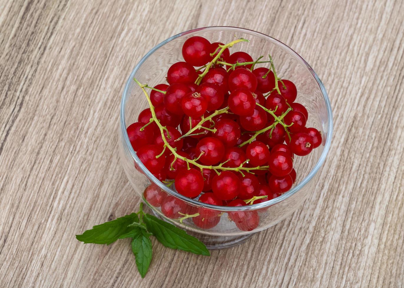 Red currants view photo