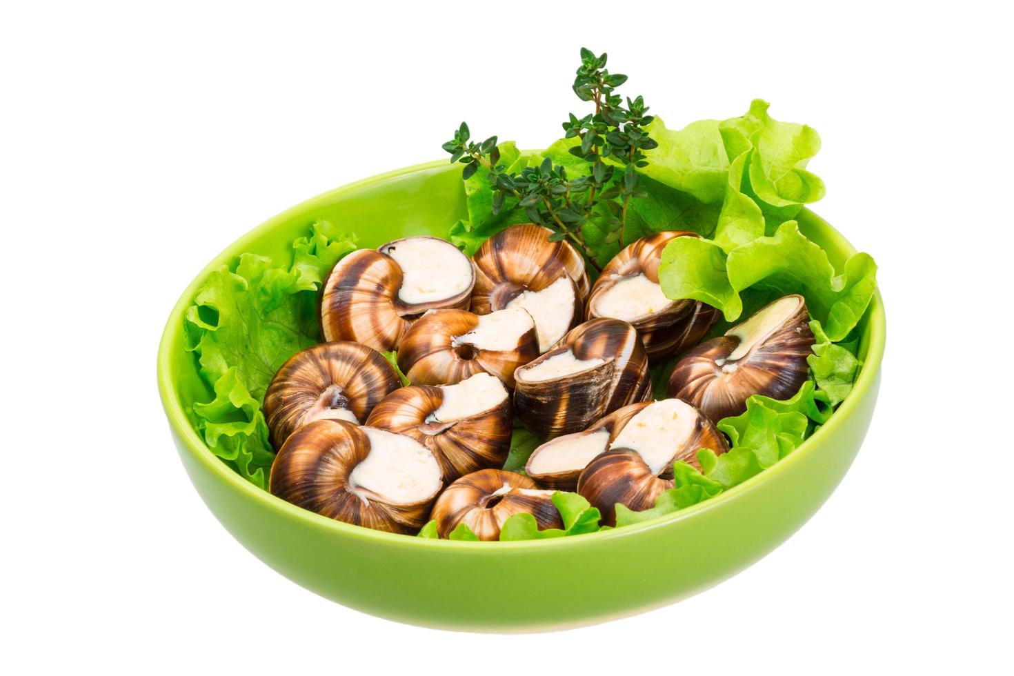 Escargot on white photo