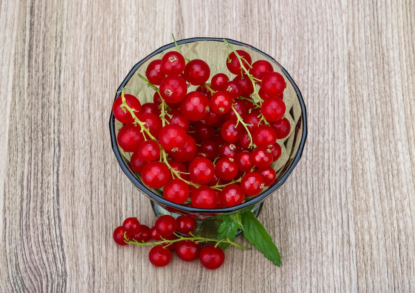 Red currant dish view photo