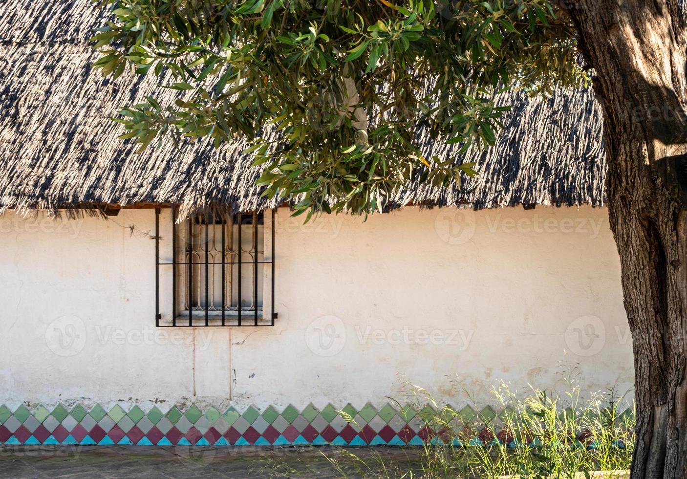 old white house with a thatched roof and a tree nearby photo