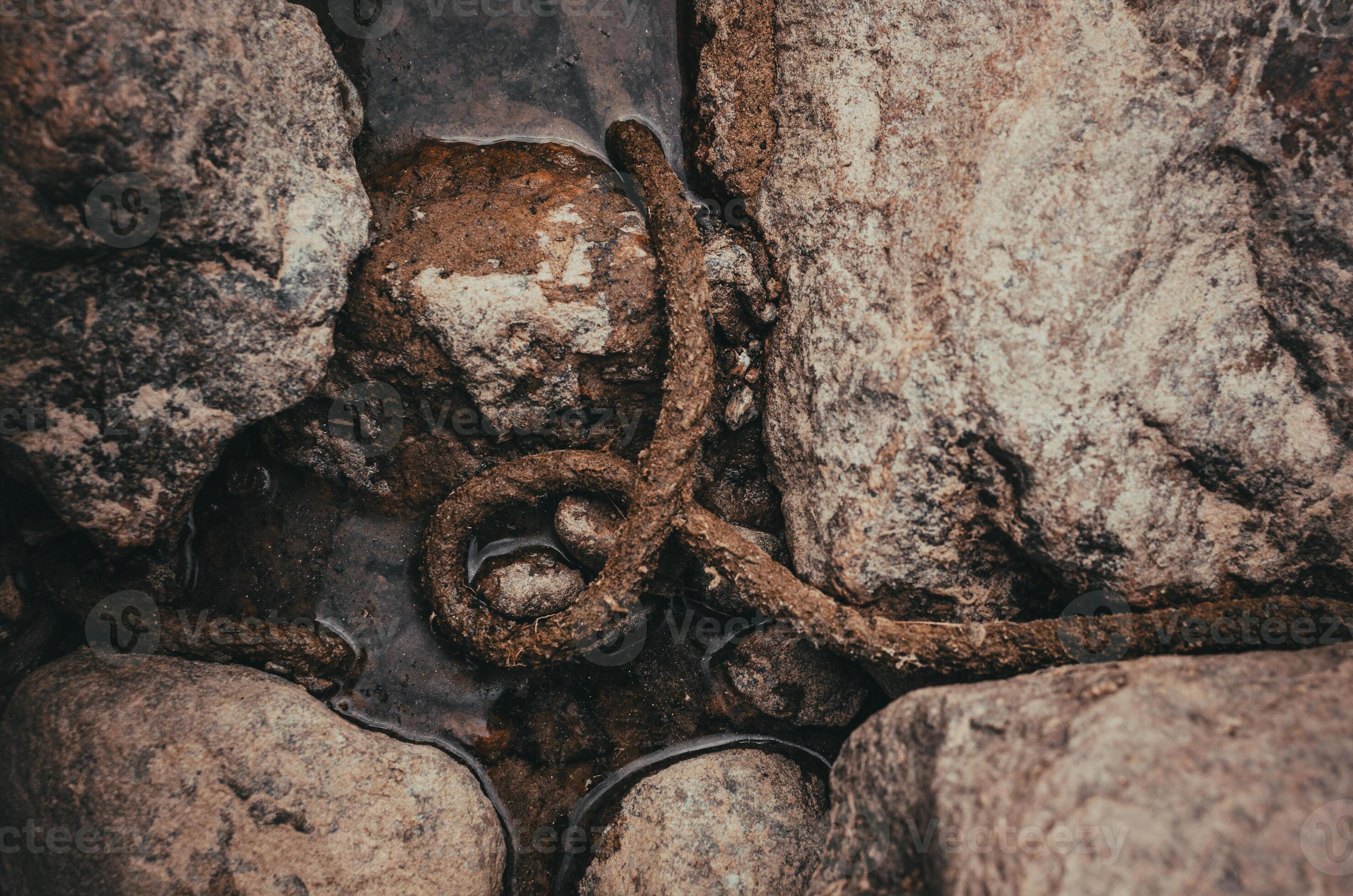 shot from above wet old rope in water among stones 12784231 Stock Photo