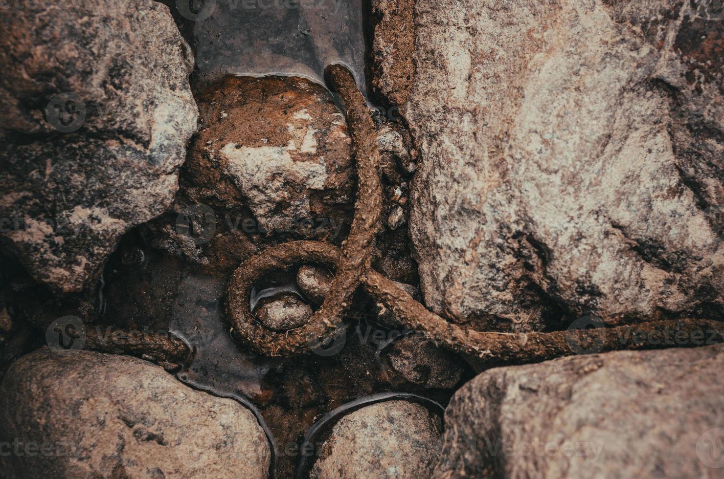 shot from above wet old rope in water among stones photo