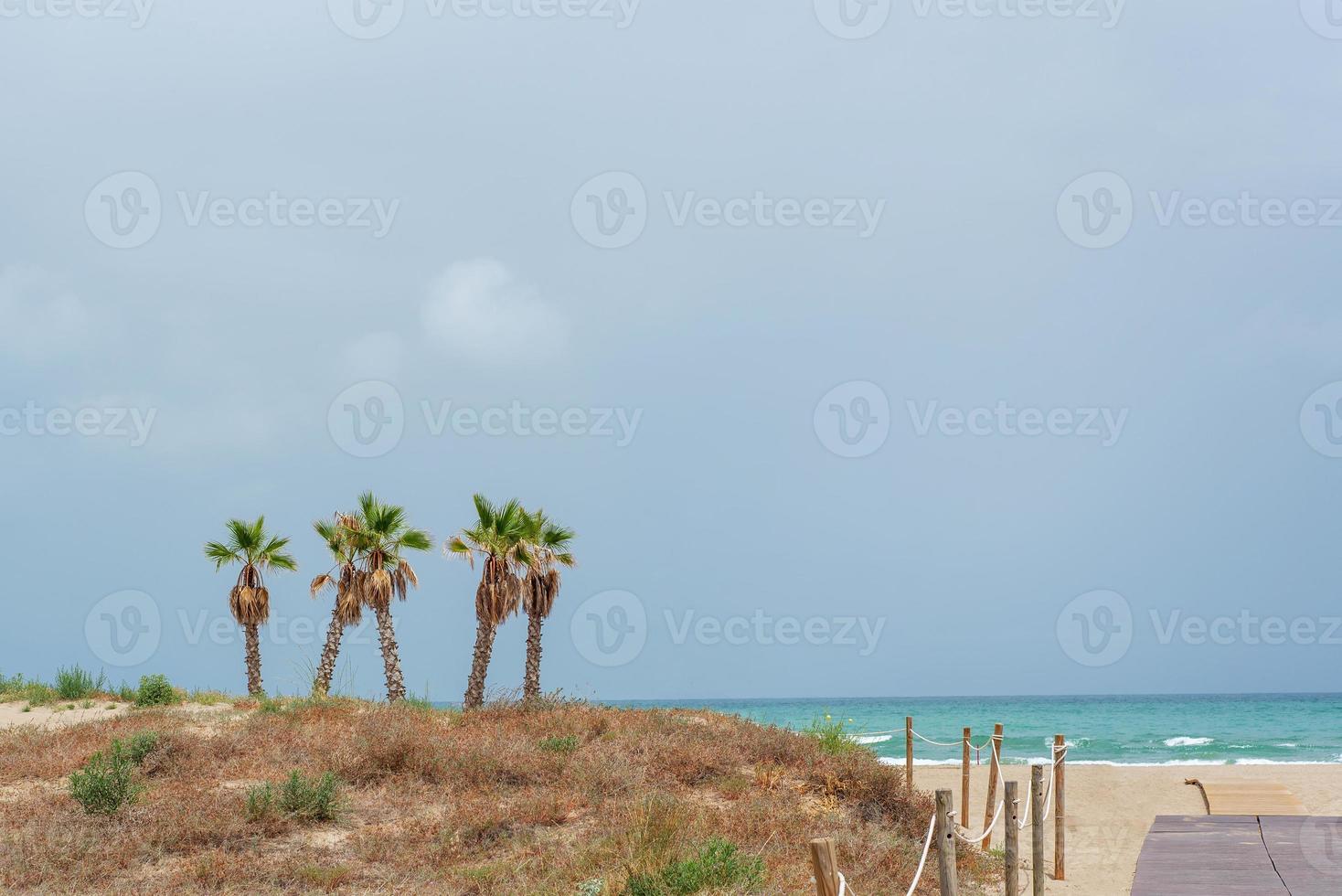 view of the sea and sandy beach with dunes, palm trees and wooden walkways against the backdrop of rain cloudy sky photo