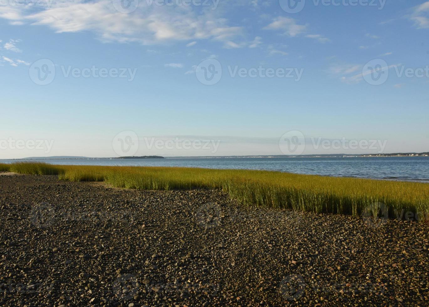 Low Tide at Dubury Bay with Rock Beach and Marsh Grass photo