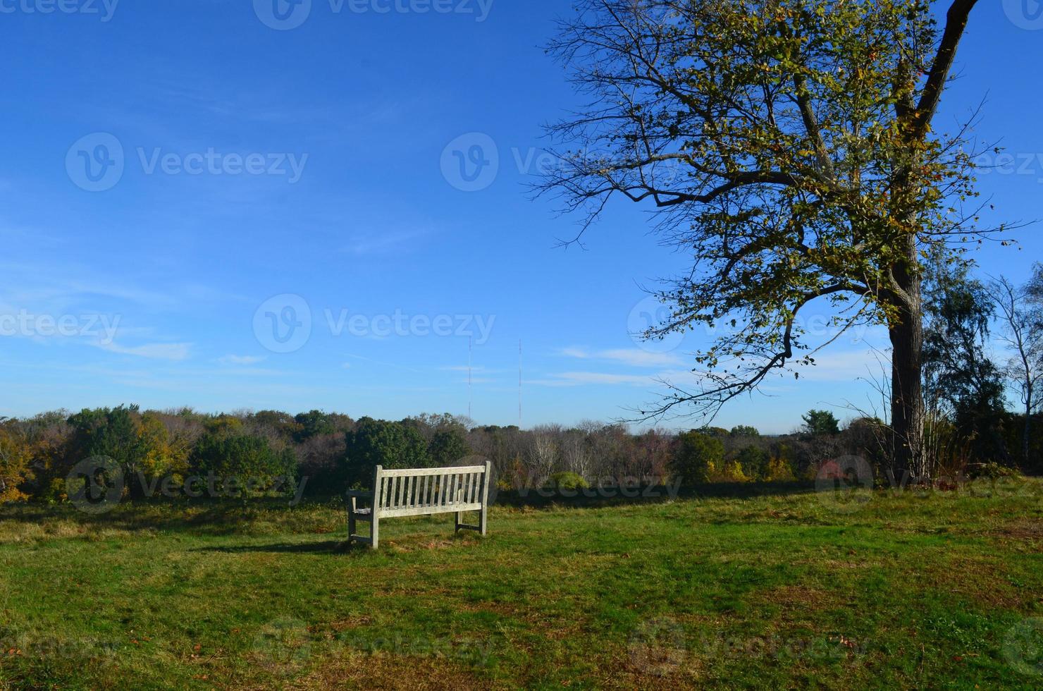 Beautiful landscape of world's end park with clear blue skies photo